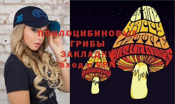 меф Надым