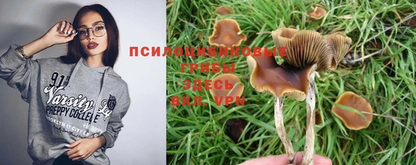 apvp Алексин