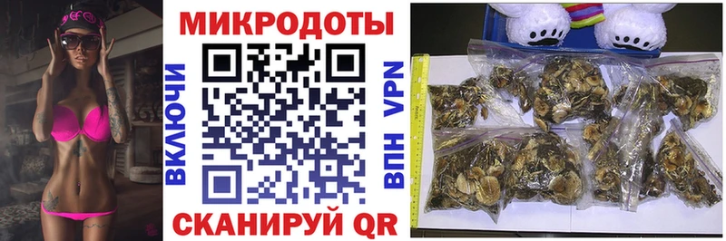 Псилоцибиновые грибы GOLDEN TEACHER Павлово
